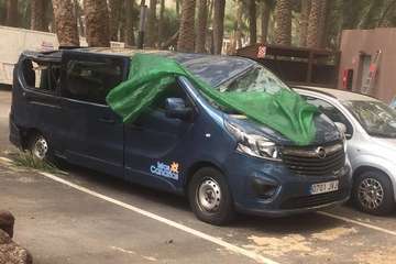 La caída de una palmera causa daños a una furgoneta en el oasis de Maspalomas (Foto Antonio AlÃ¯ y TA)